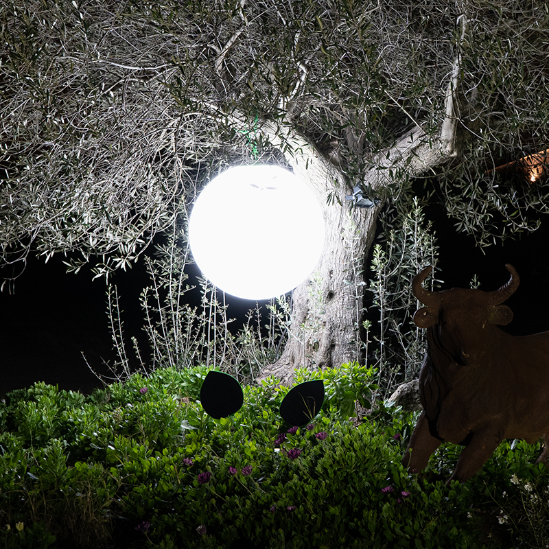 sphère boule lumineuse extérieur solaire guirled